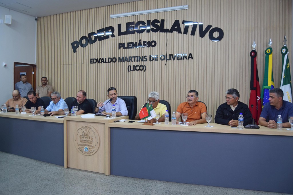 Décima Sétima Sessão Ordinária do Primeiro Período Legislativo 2025